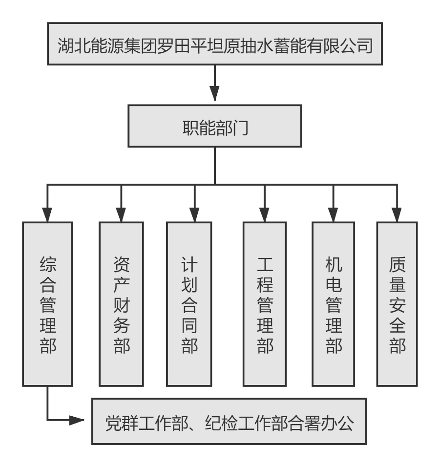 ky体育能源集团罗田平坦原抽水蓄能有限公司组织机构